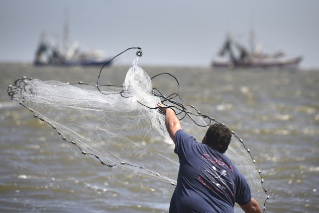 A fisherman tosses a cast net off St. Simons Island. 