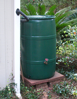 This is a photo of an installed rain barrel.