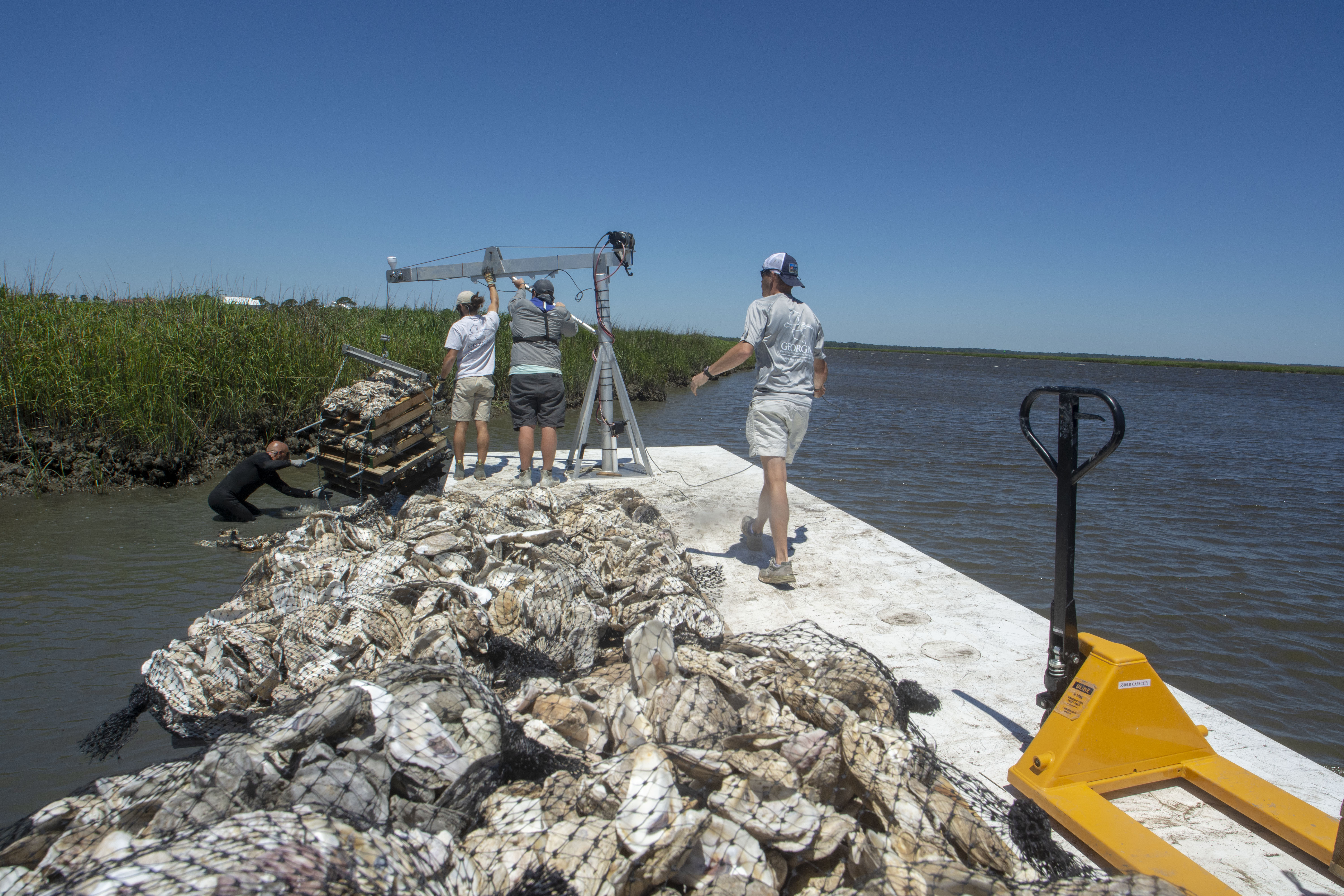 Staff with the Coastal Resources Division (CRD) of the Georgia Department of Natural Resources place recycled oyster shell on the banks of the Back River on Friday, May 1, 2020. CRD staff recently completed the first phase of a major oyster bed restoration project, placing 3,700 bags of recycled oyster shells on the west bank of the Back River.