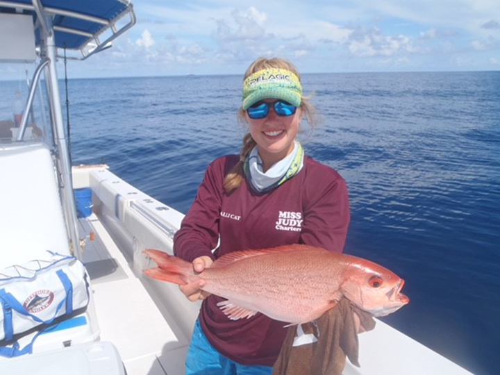 Vermillion Snapper