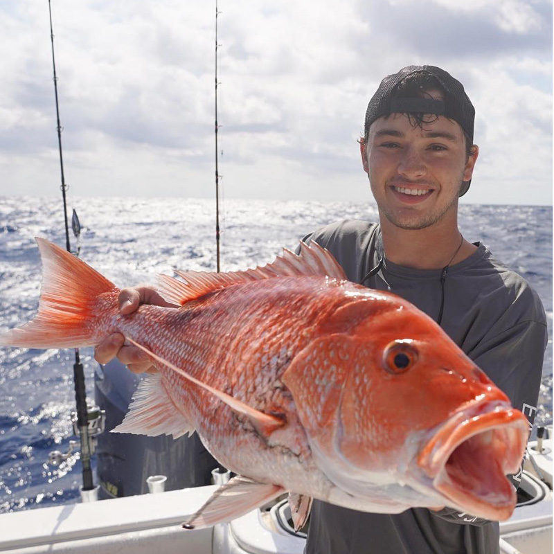 Illustration of Red Drum by Duane Raver.