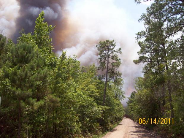 This photo illustrates a wildfire smoke plume in Georgia.