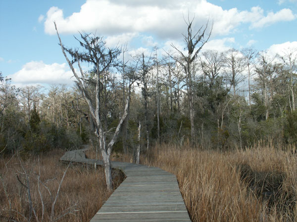 Cay Creek Trail