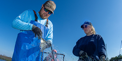 Two DNR employees hold a net (thumbnail for the 'net gain' article)