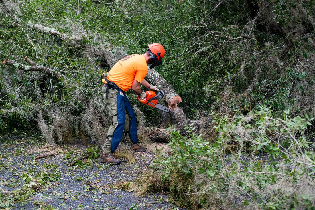 File photo/CRD | A DNR team member clears debris after Hurricane Helene in 2024.