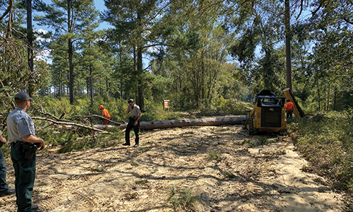 A strike team works at Di-Lane Plantation WMA.