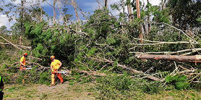 Hurricane Helene Cleanup