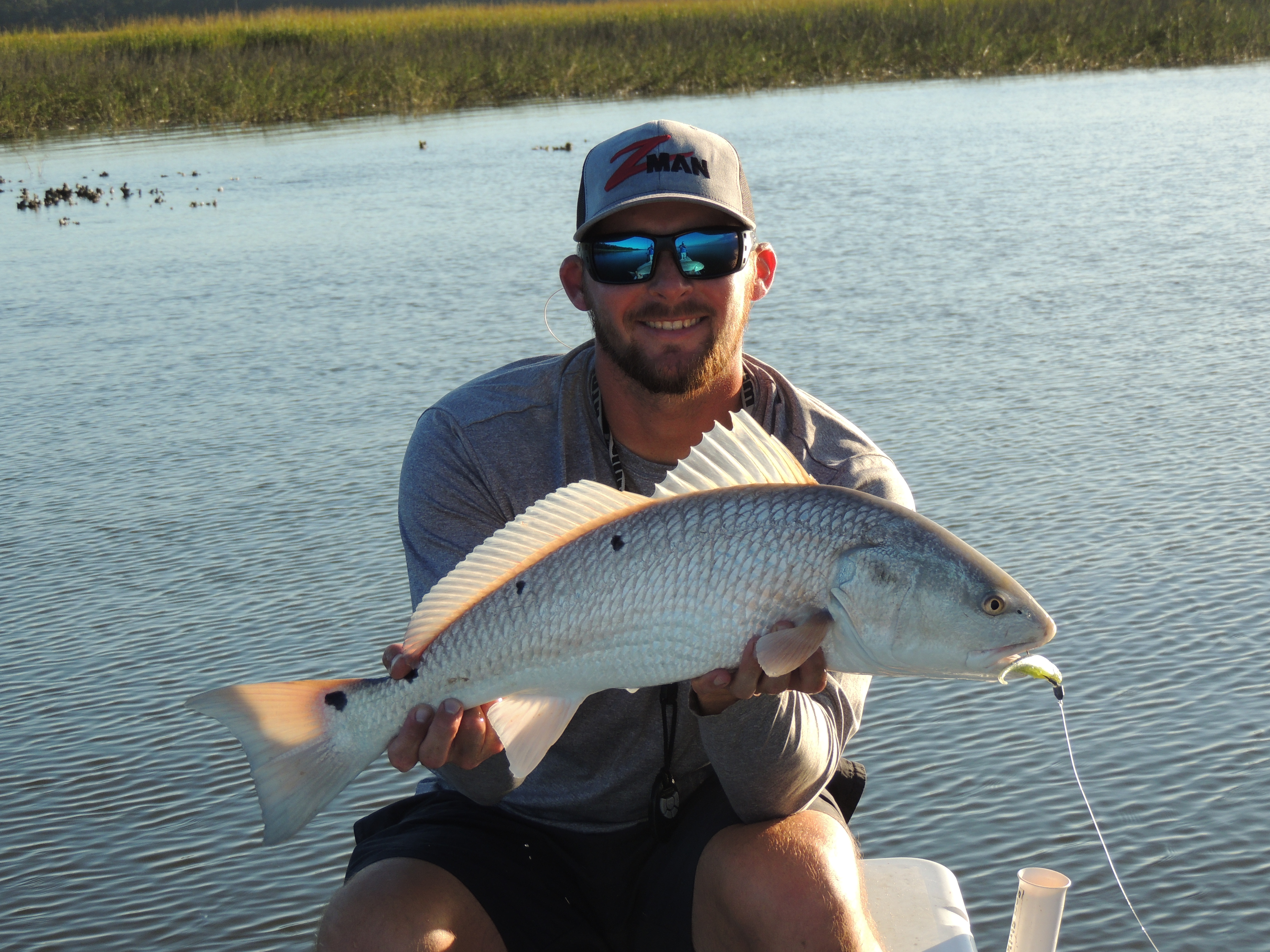 Anglers poses with tagged red drum in tidal creek.