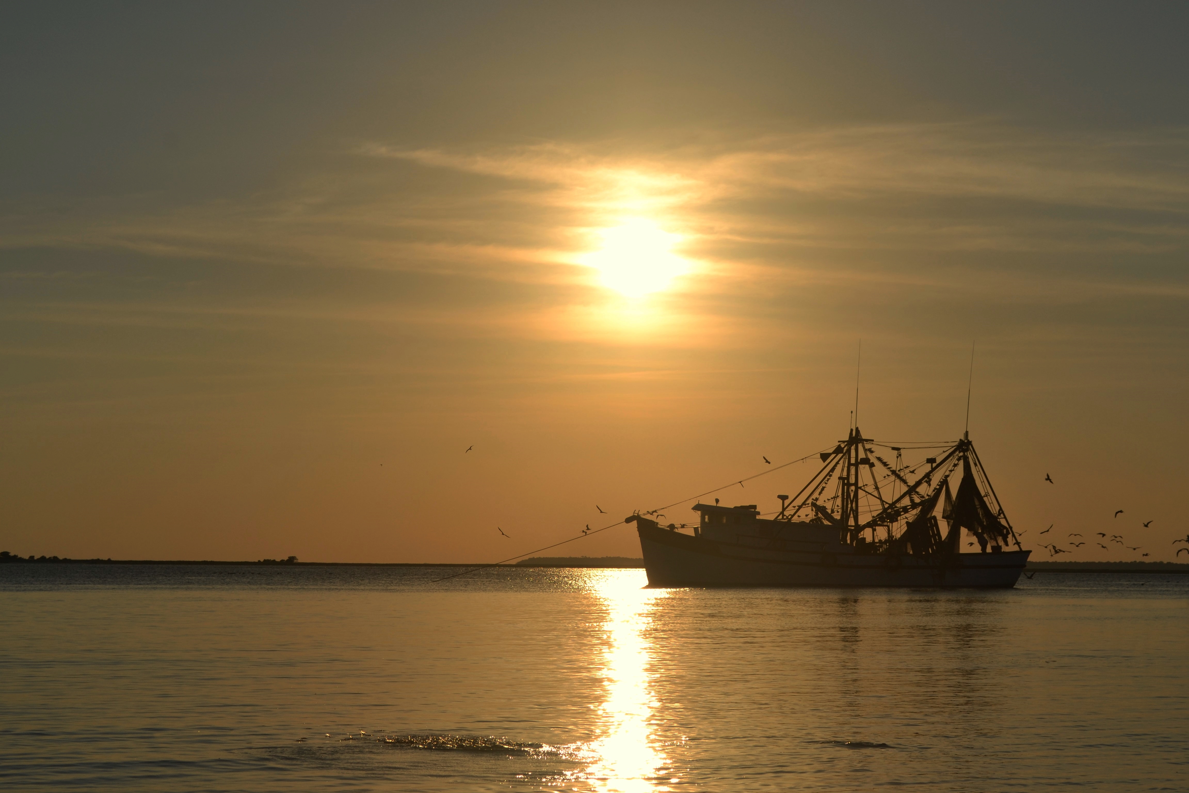 Shrimp boat