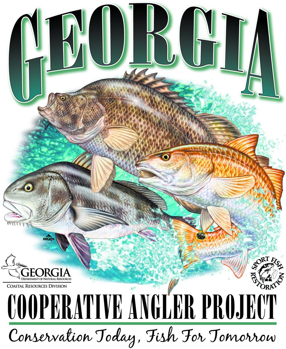 Georgia Fishing Report: August 30, 2019 – Georgia Wildlife Blog