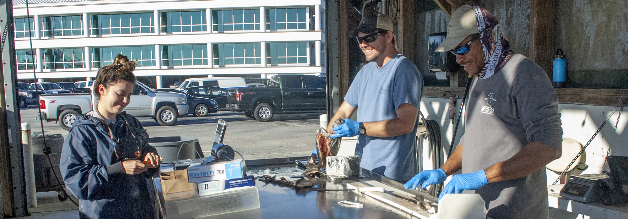 Technicians remove otoliths from fish.