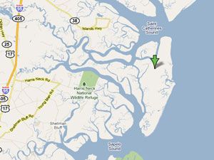 A map showing the location of St. Catherine's Island