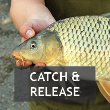 Catch & Release