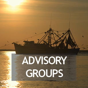 Citizen Advisory Groups