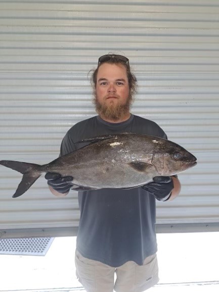 New species added to Georgia Saltwater records program as Brunswick man  sets bar for Almaco jack