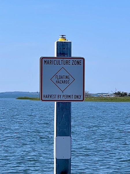 Illustration of Red Drum by Duane Raver.