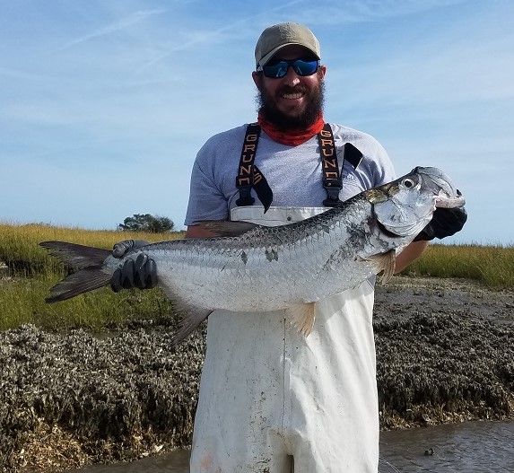 Photo of a biologist holding an Atlantic Tarpon prior to releasing the fish alive