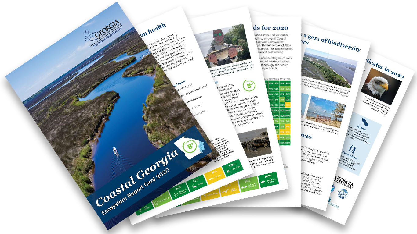 2020 Coastal Georgia Ecosystem Report Card