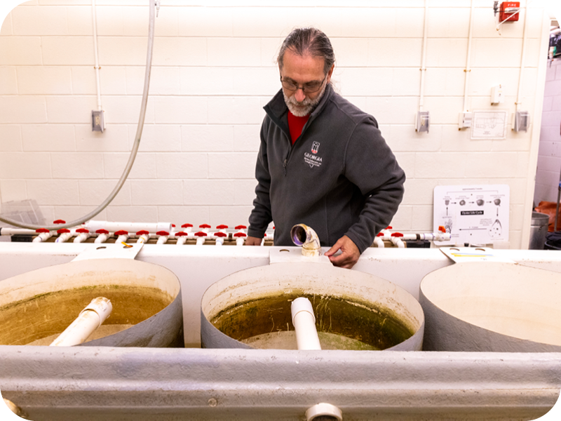 UGA Shellfish Lab. Photo courtesy of UGA.