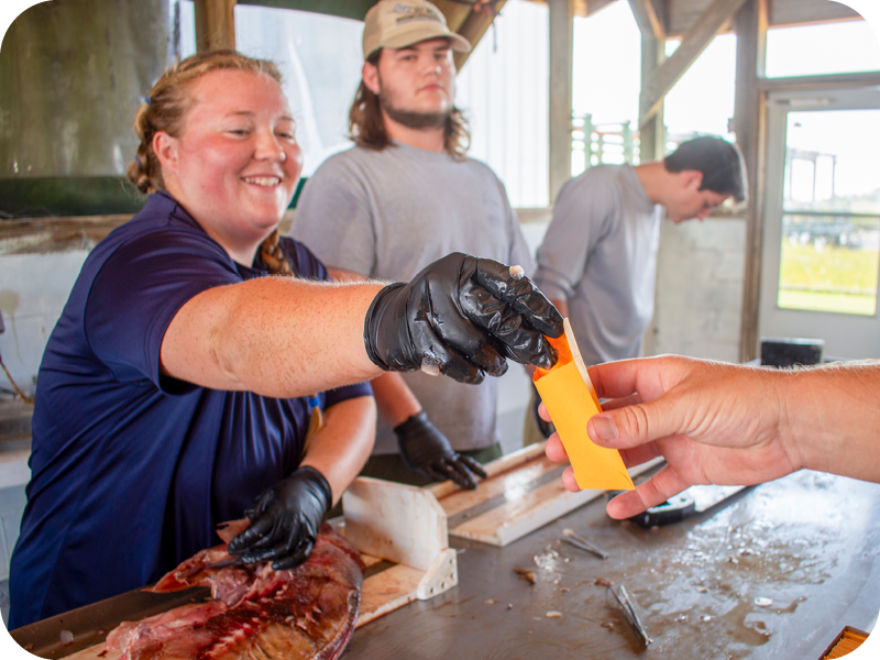 Cooperative Angler Tagging Program