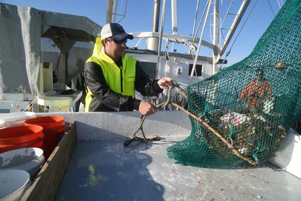 Georgia shrimp season set to open May 29 Georgia shrimp season set to open May 29