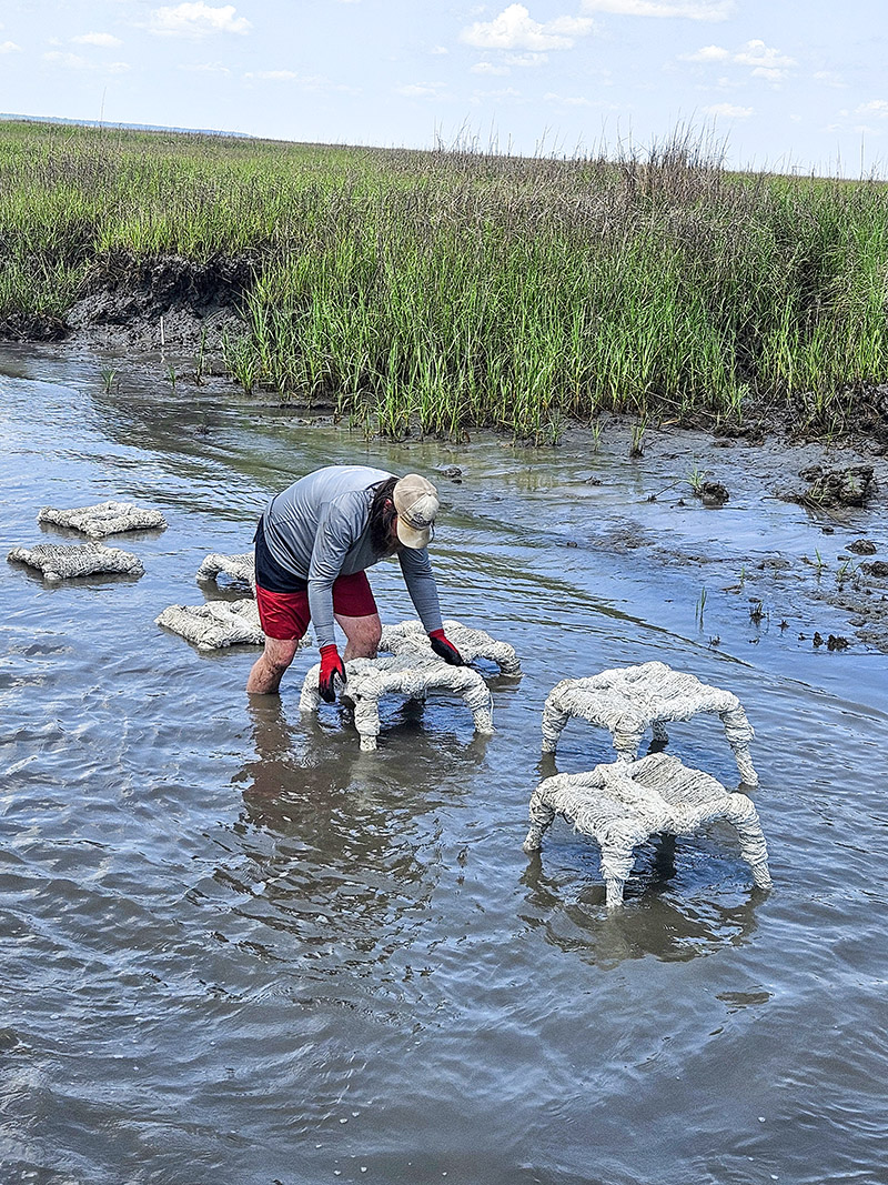 DNR Marine Biologist Cameron Brinton deploys oyster tables to the banks of the North Newport River in Liberty County on May 7, 2024. DNR photo by Paul Medders.