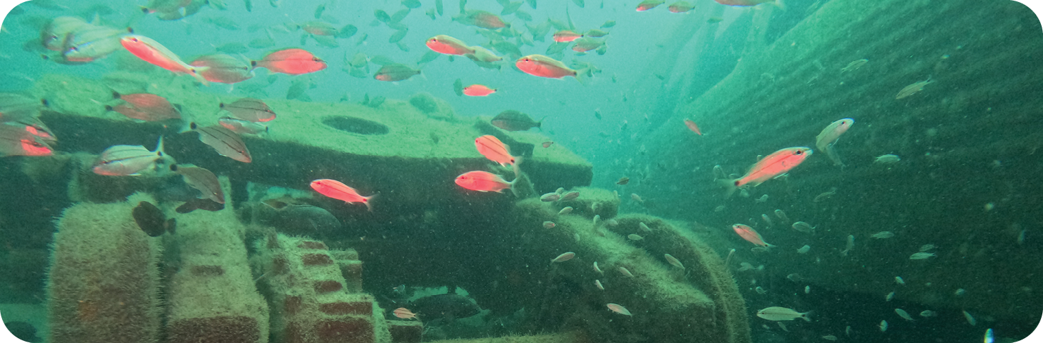 Habitat Enhancement and Restoration Unit