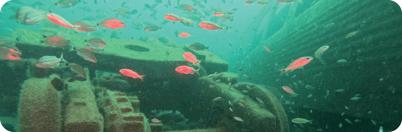 Habitat Enhancement and Restoration Unit