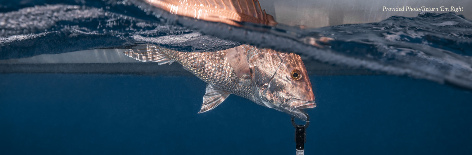 Best Fishing Practices