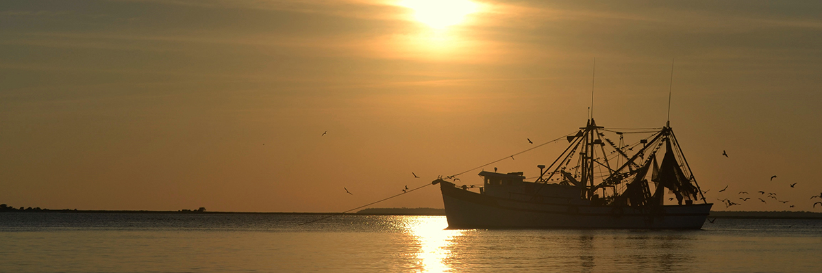 Shrimp boat seen at dusk