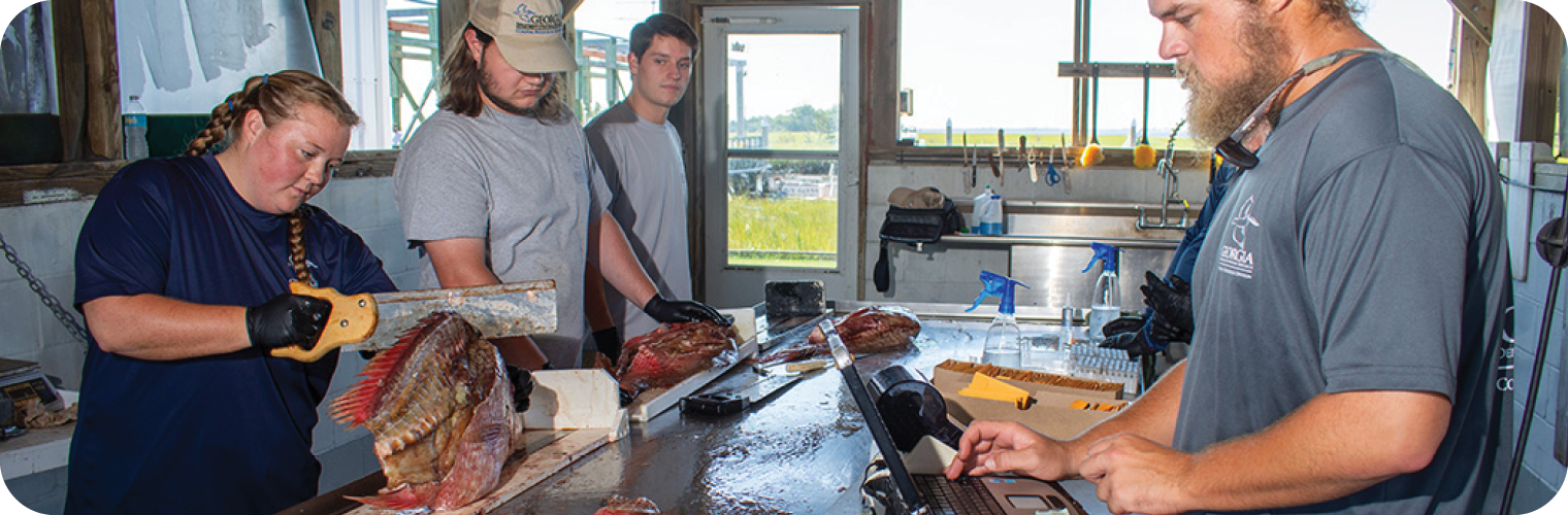 Marine Sportfish Carcass Recovery Project