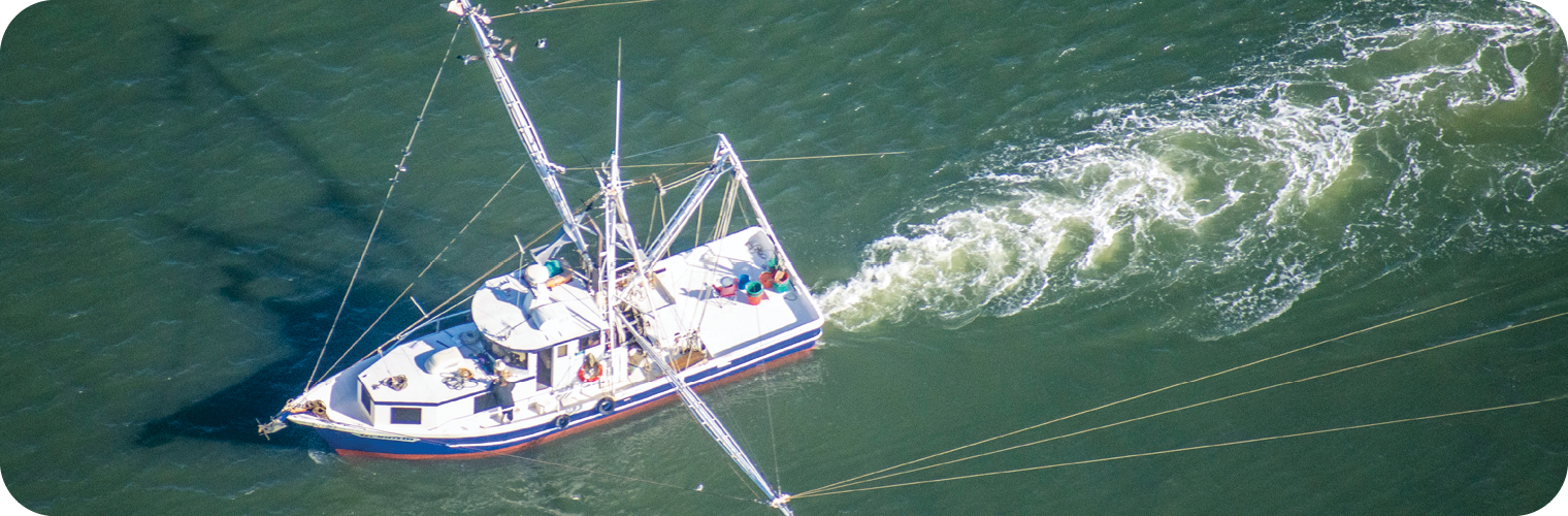 Commercial Fishing Licenses & Regulations