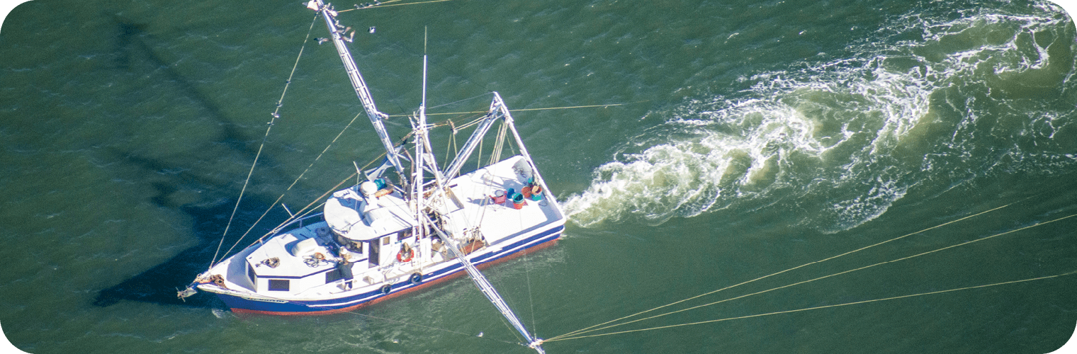 Commercial Fishing Licenses & Regulations