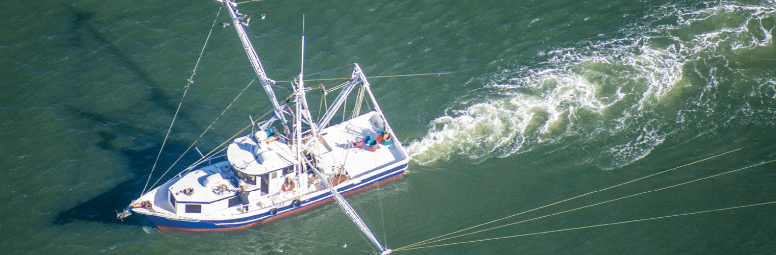 Commercial Fishing Licenses & Regulations