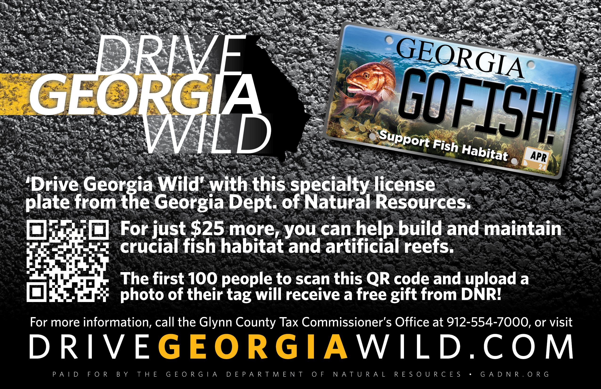 Drive Georgia Wild Infographic