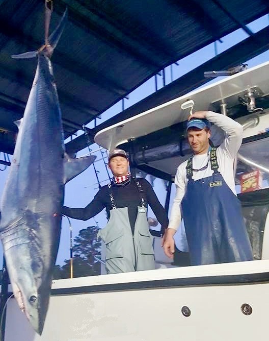 Image of mako shark