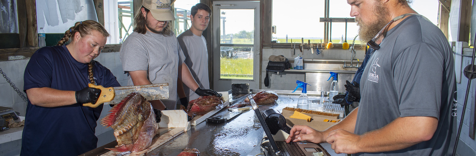 Marine Sportfish Carcass Recovery Project