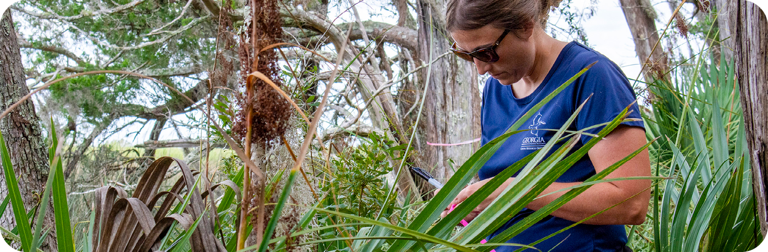 Marsh & Shore Permits: Regulatory Points of Contact