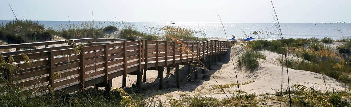 Banner photo showing a wooden beach crossover leading onto a beach.