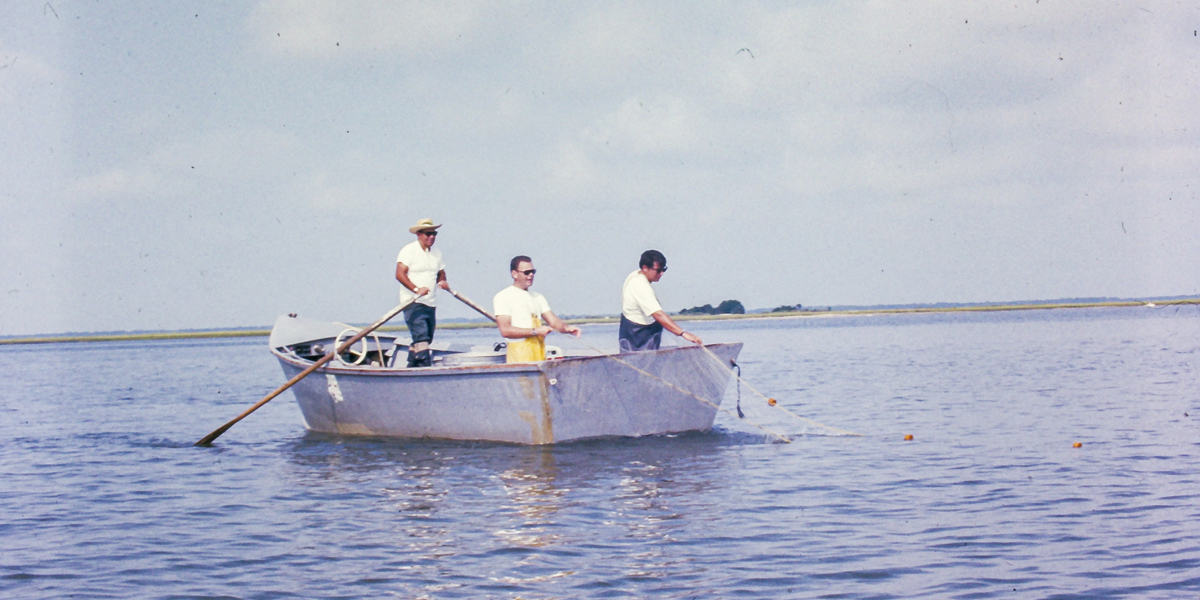 Jim Music, far right, helps pull in a gillnet with the late Capt. Pard Andrew (far left), and marine biologist Bobby Palmer as part of a total estuarine species inventory survey circa 1971. Jim Music, far right, helps pull in a gillnet with the late Capt. Pard Andrew (far left), and marine biologist Bobby Palmer as part of a total estuarine species inventory survey circa 1971.