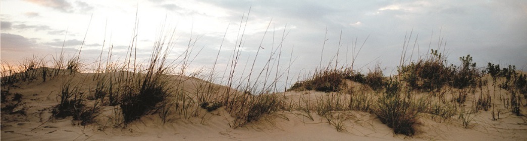 image of sunset over dunes