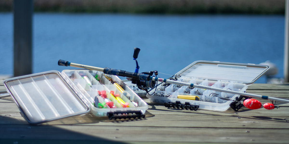 Summer Tackle Summer Tackle