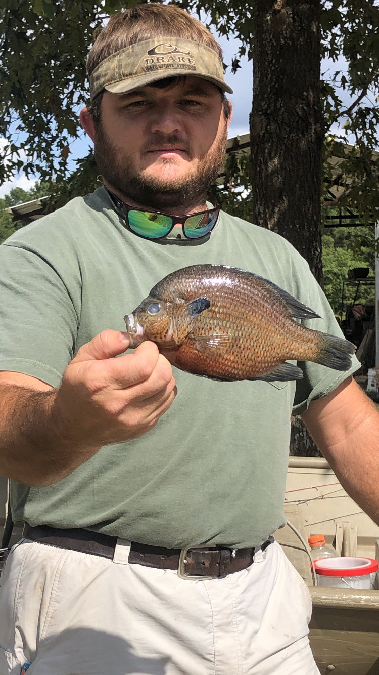 Jamie Boyett holding record Spotted Sunfish.