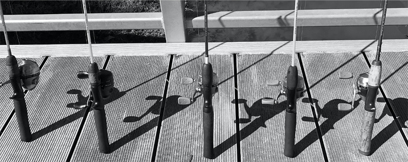 Fishing Poles on Dock