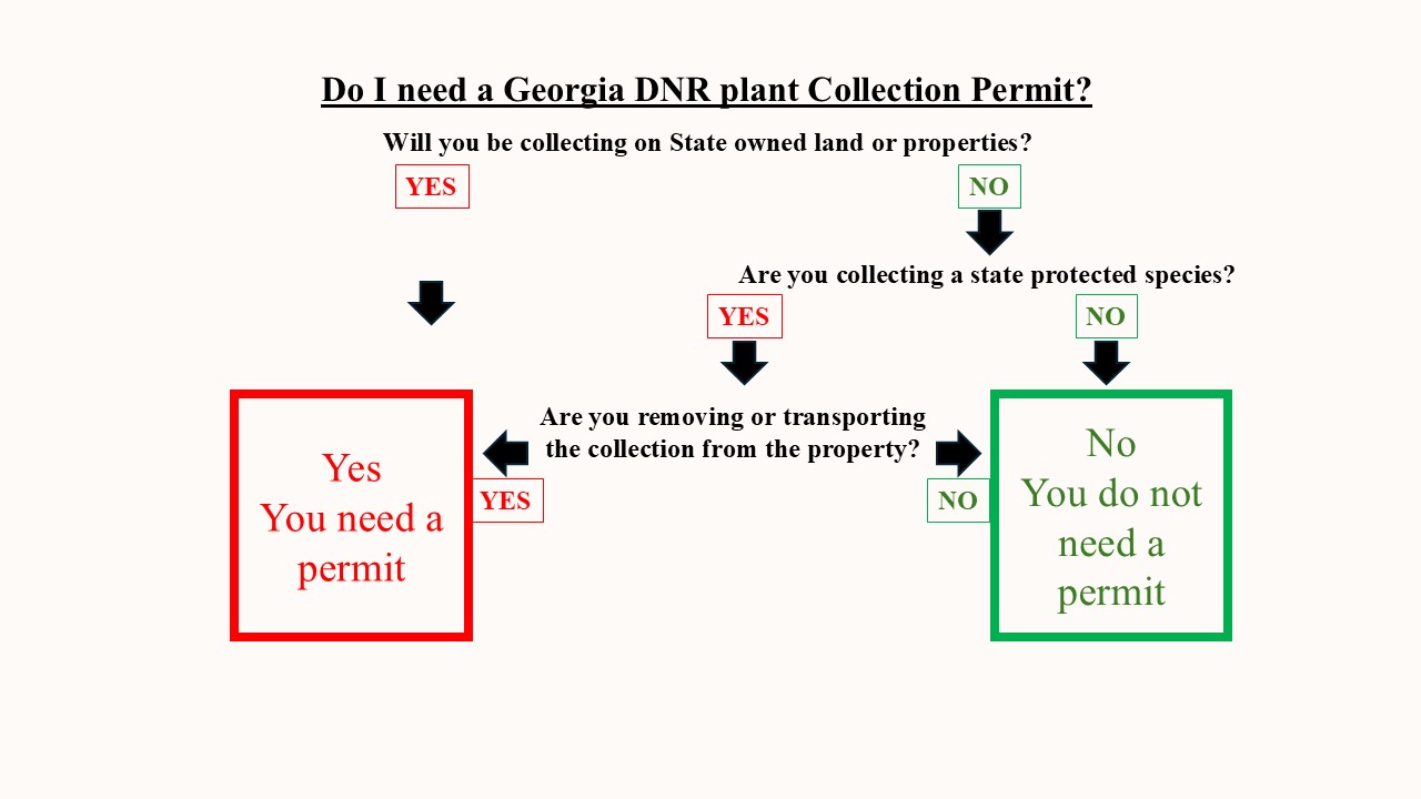 Scientific Collecting Flow Chart