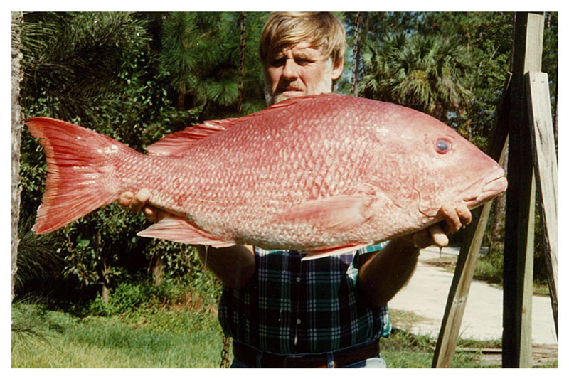 Bill Shearin with Red Snapper