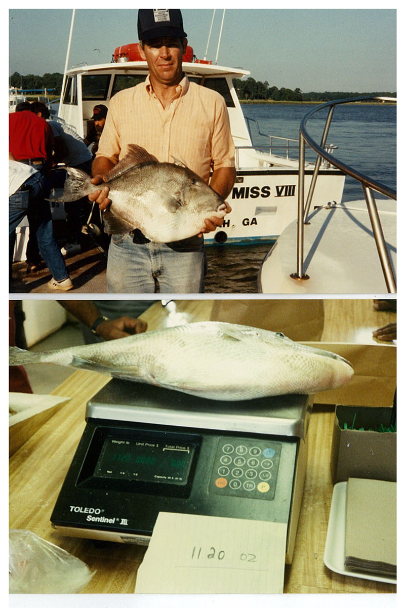 Dean Williams with Gray Triggerfish