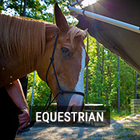 Equestrian
