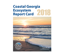 Ecosystem Report Card