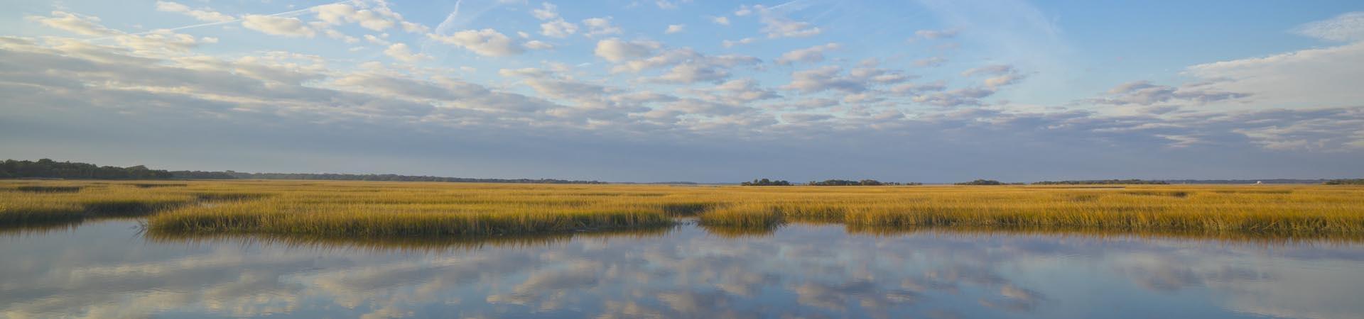 Cumberland Island salt marsh